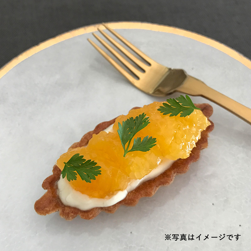 作ってうっとり！食べてきれいに「美」FOOD ヘルシースイーツ編