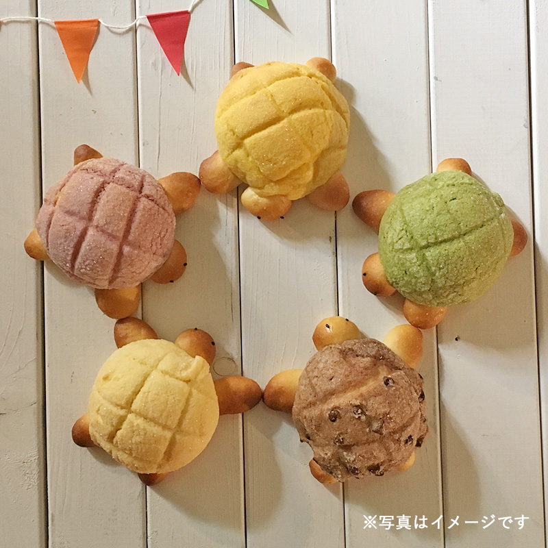 基本のメロンパンで作るカラフルカメロンパン