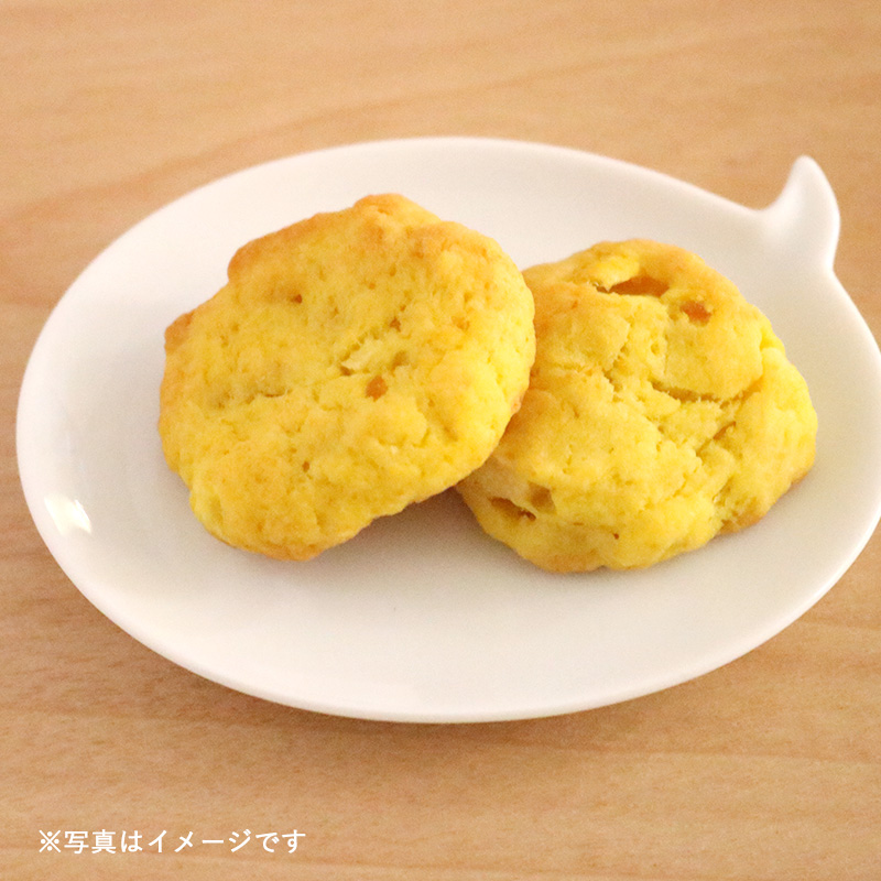 おんぶしながらCooking　「野菜だし」が決め手！子どもの味覚を育てる離乳食・幼児食講座 2020年3月