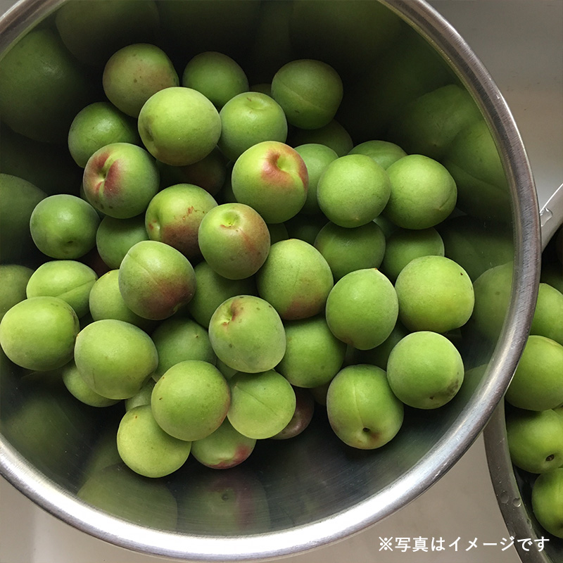 ごはん屋ヒバリのお酒とおつまみ