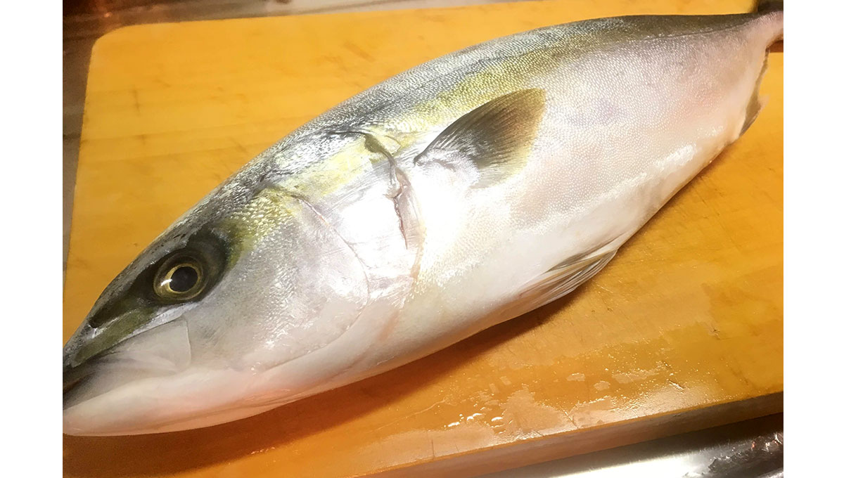 ながさき一生さんの旬のお魚教室　「いなだ」まるごと！　おろして作って食べつくす