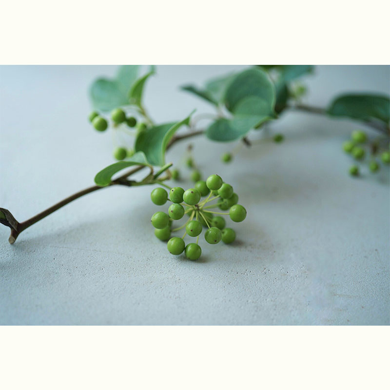 TAMOTAMOさんの初夏の花と和菓子レッスン1～紫陽花とグリーンで作る夏色リースと紫陽花の練り切り～