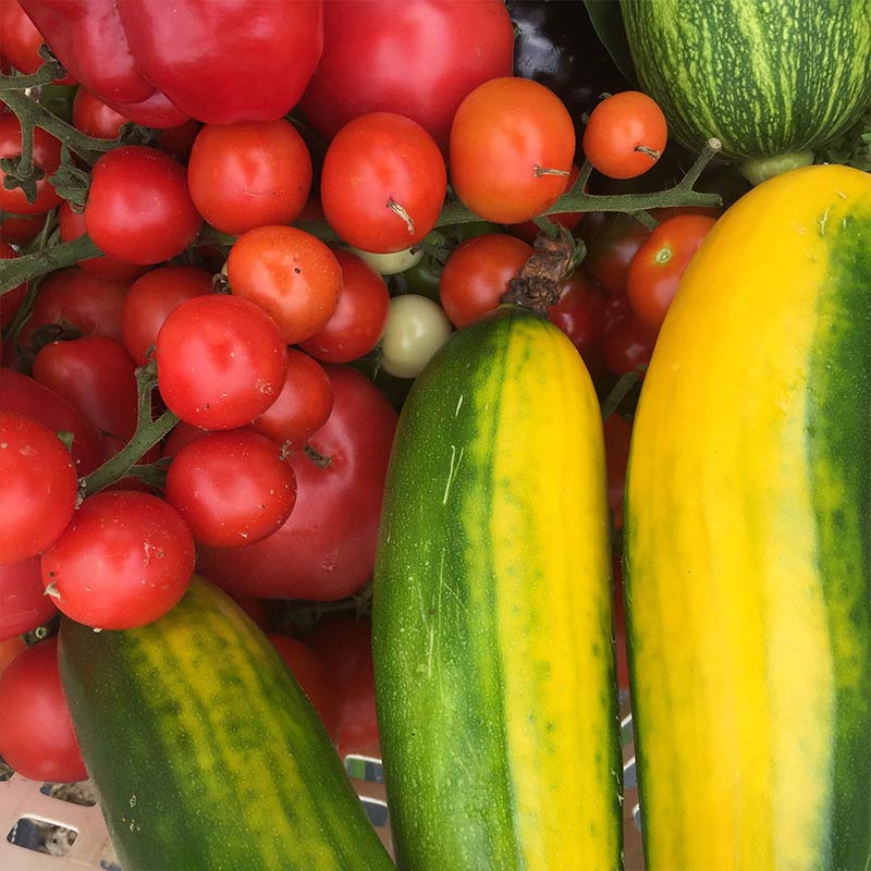 上田淳子さんに教わるフランスの家庭料理～夏野菜を存分に味わう～