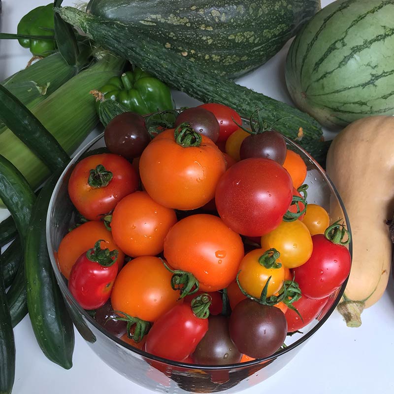 上田淳子さんに教わるフランスの家庭料理～夏野菜を存分に味わう～