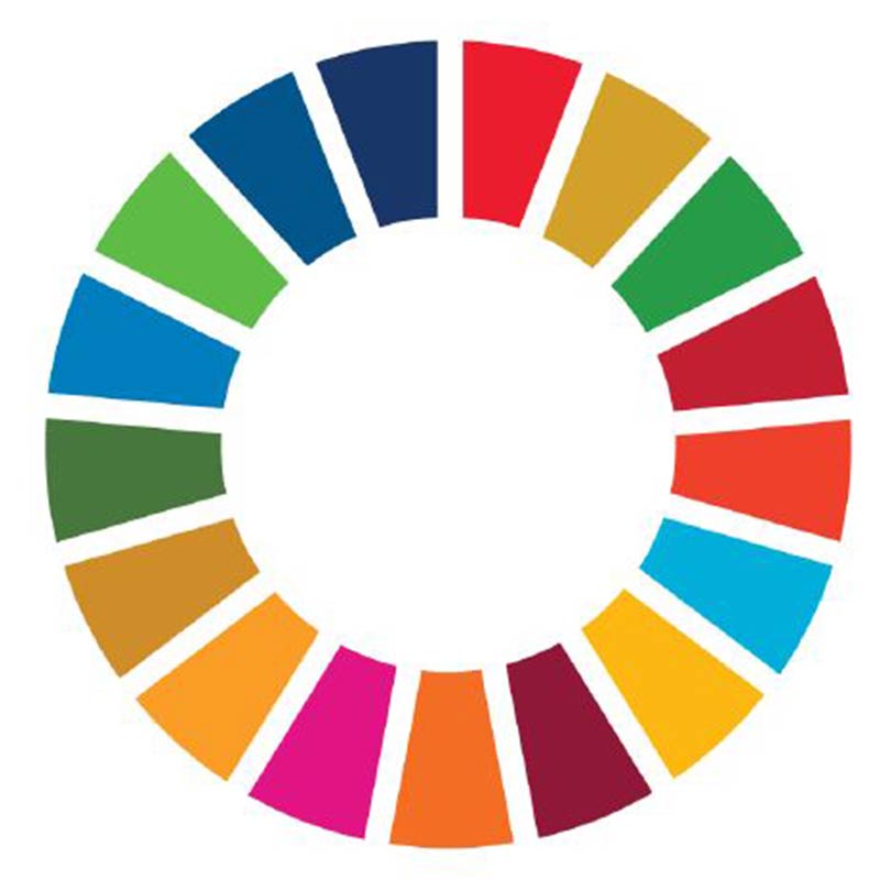 【出張コトラボ】「食」から学ぶ「2030 SDGｓ」～SDGｓをゲームで体験しよう！ 植物ミートのお弁当つき～