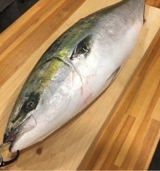 ながさきさんの旬のお魚教室　脂のり抜群！　寒ぶり一尾を食べ尽くす