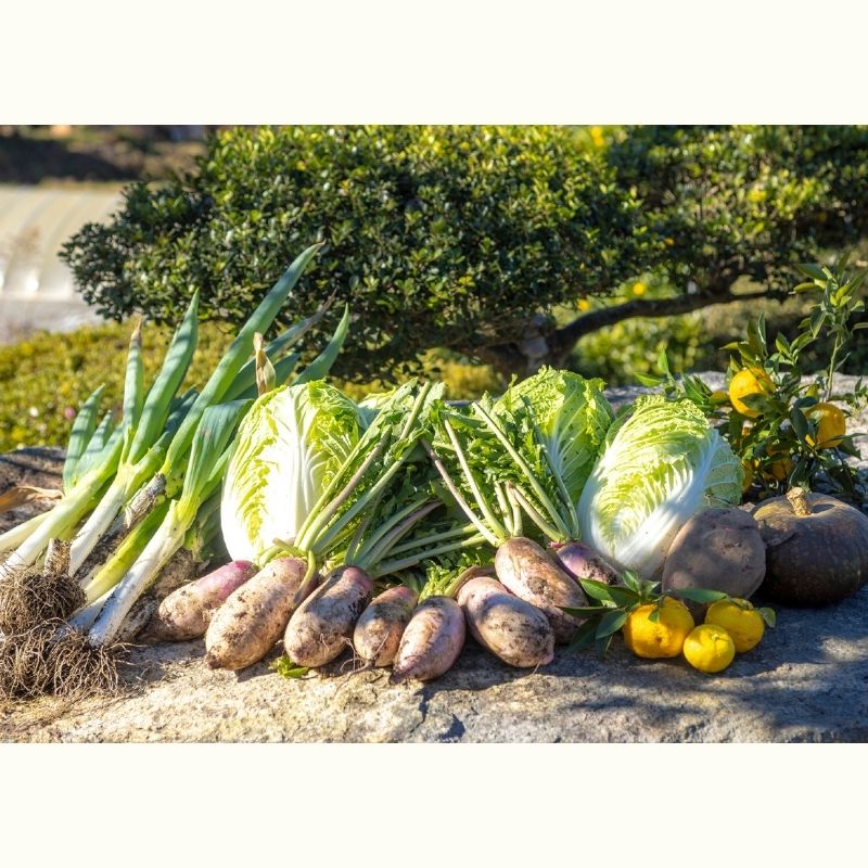 【第1弾】矢祭町の新鮮野菜のお土産つき♪　ベジブロスから作るピリッとこくうま「スープカレー」　