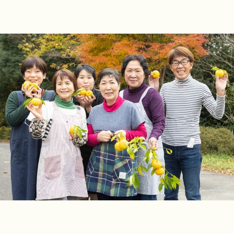 【第1弾】矢祭町の新鮮野菜のお土産つき♪　ベジブロスから作るピリッとこくうま「スープカレー」　