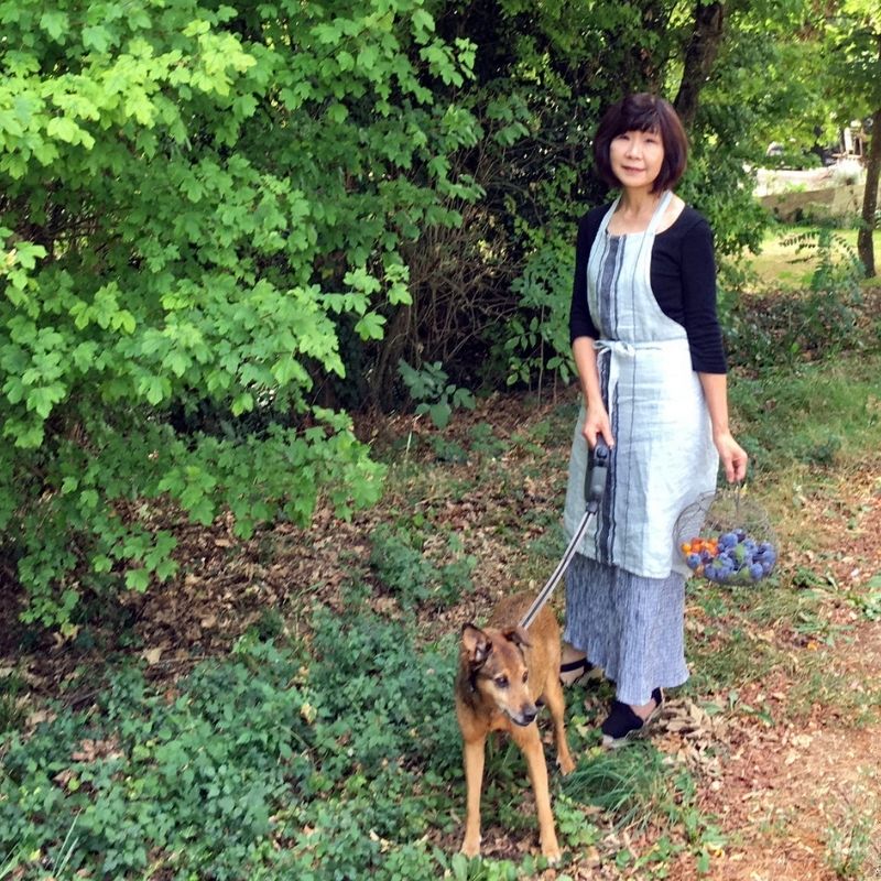 青山翠さんの森のブッシュ・ド・ノエルを作ろう