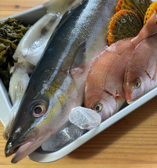 ながさき一生さんの旬のお魚教室<番外編> 漁師料理で納涼大会！