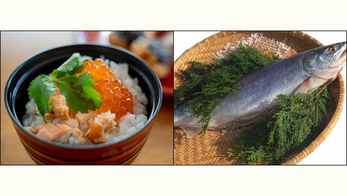 【ながさき一生さんの旬のお魚教室】「鮭」特集！　紅鮭・銀鮭・秋鮭の食べ比べ＆新巻鮭をさばいて、季節の味をたっぷり！