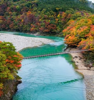 【ふるさとの味めぐり③新潟県・関川村】　新潟県・関川村の美味満載! 鮭の焼き漬け香る、山菜づくしのお弁当を作ろう