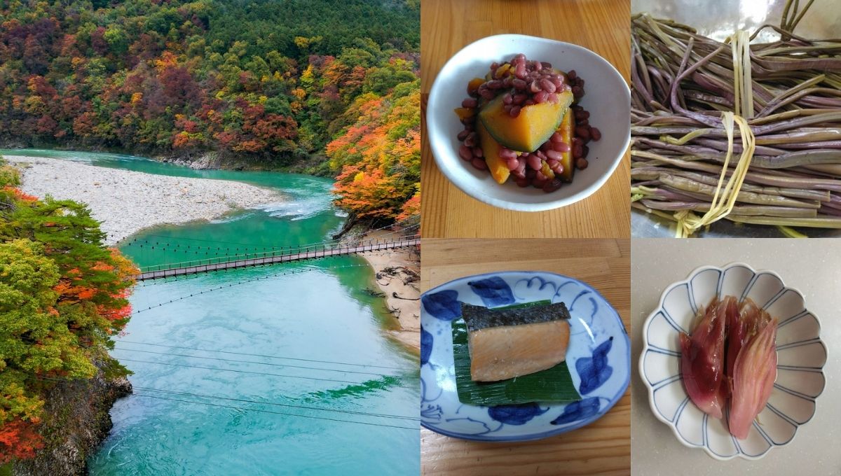 【ふるさとの味めぐり③新潟県・関川村】　新潟県・関川村の美味満載! 鮭の焼き漬け香る、山菜づくしのお弁当を作ろう