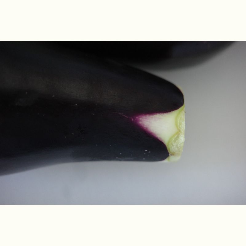 『あたらしい日常料理 ふじわら』藤原奈緒さんの野菜はごちそう。直売所からはじまる料理～初夏編～