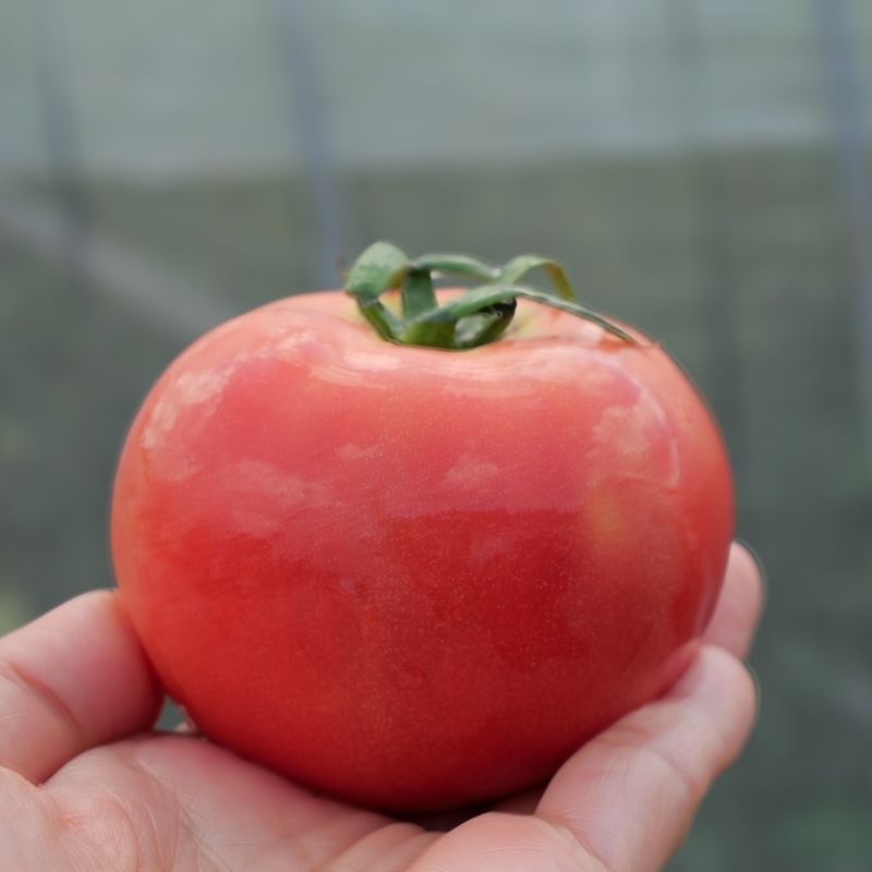 ワタナベマキさんが「おいしい南会津町」をコトラボへ！　地域食材で作るおつまみと、こだわりの日本酒で口福ペアリング