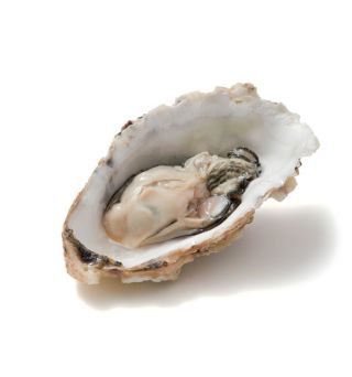 オザワエイコさんの発酵調味料レッスン「発酵オイスターソース&かきづくし」の会