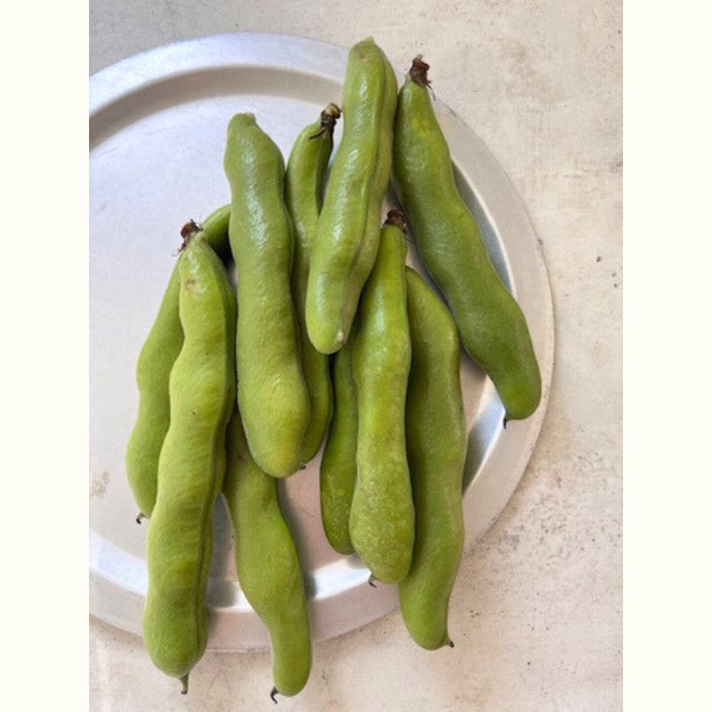 渡辺麻紀さんに教わる春野菜と卵を使ったフレンチの定番～そら豆のフラン＆鶏もも肉と春にんじんのフリカッセ～