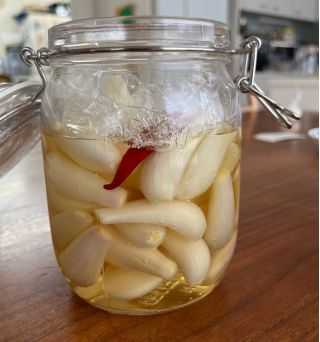 ほりえさわこさんに習う『ほりえ家』に代々伝わる秘伝の「手作りらっきょう」　作って、お持ち帰り♪